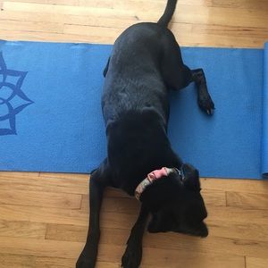 Meet your Posher, Jenna